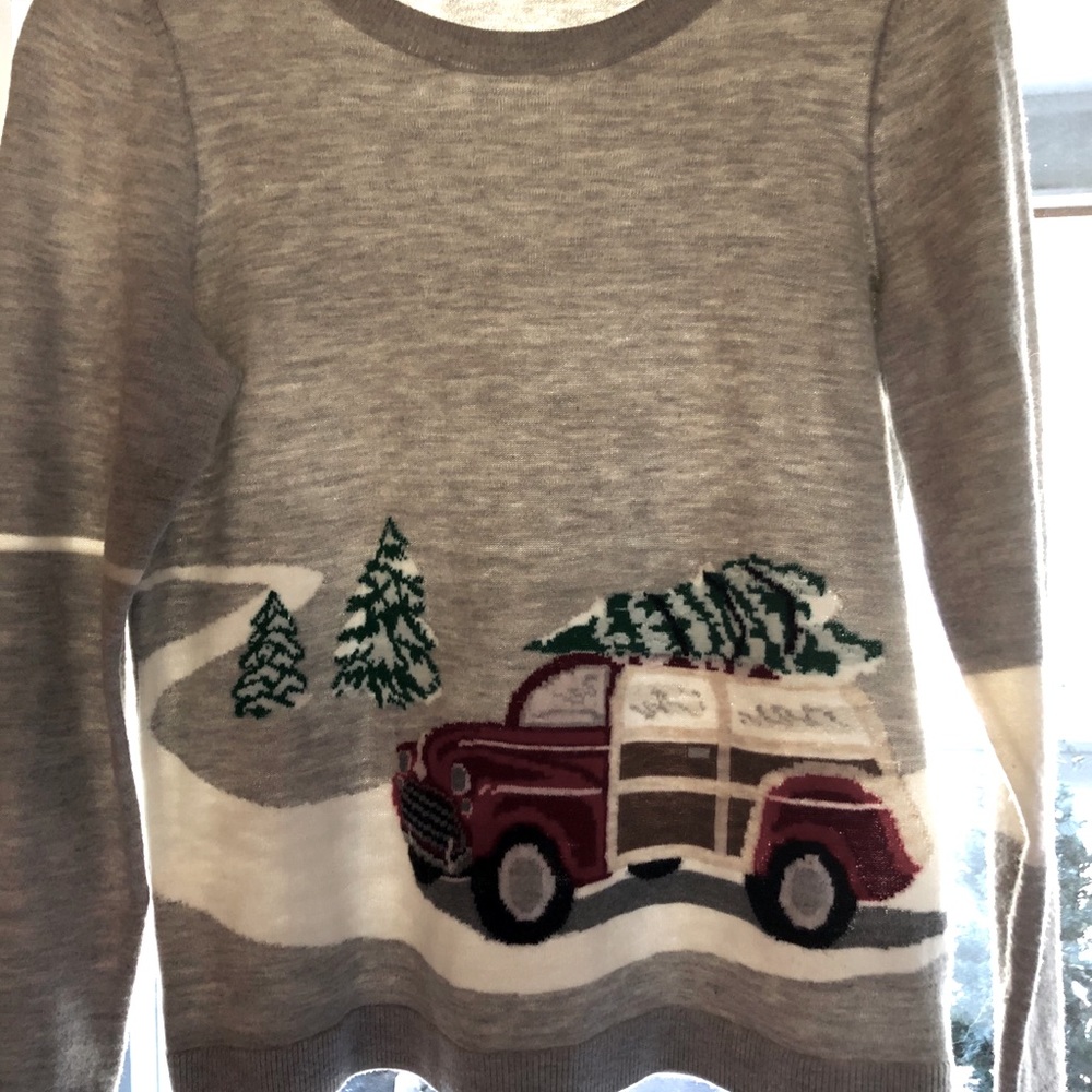 Talbots ADORABLE lightweight winter sweater